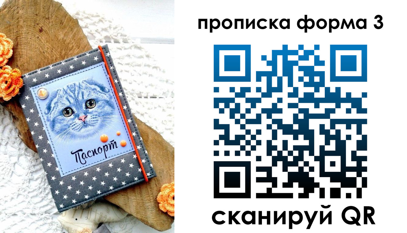 прописка поиск в Тереке